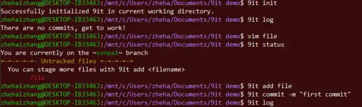 9it - Version Control System